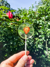 Load image into Gallery viewer, 6 x Sugar-Free Lollipops with Strawberry
